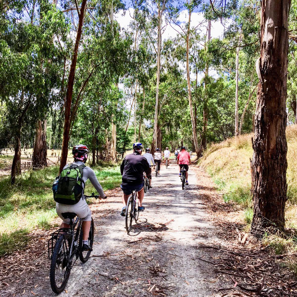 yarra-valley-mt-evelyn-warburton-rail-trail-cycle-tour – The Regional